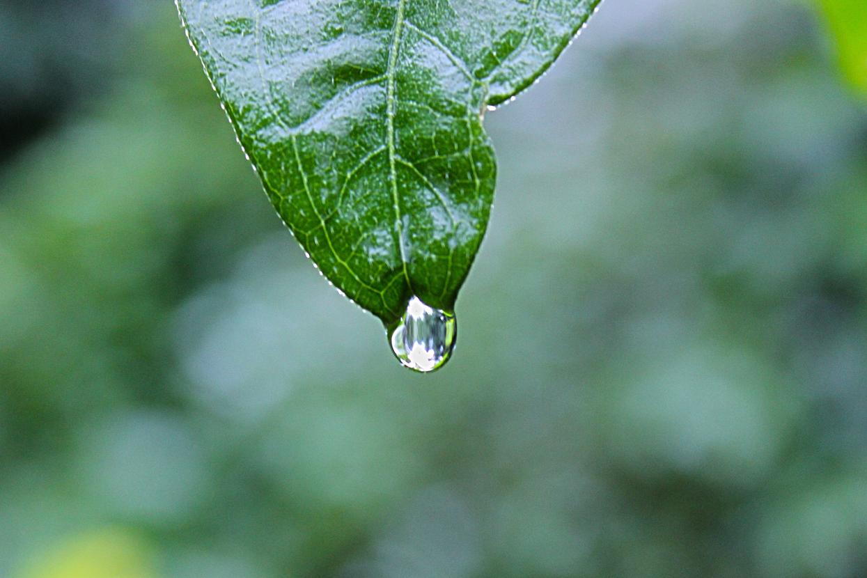 Quidem nobis dolore sint et