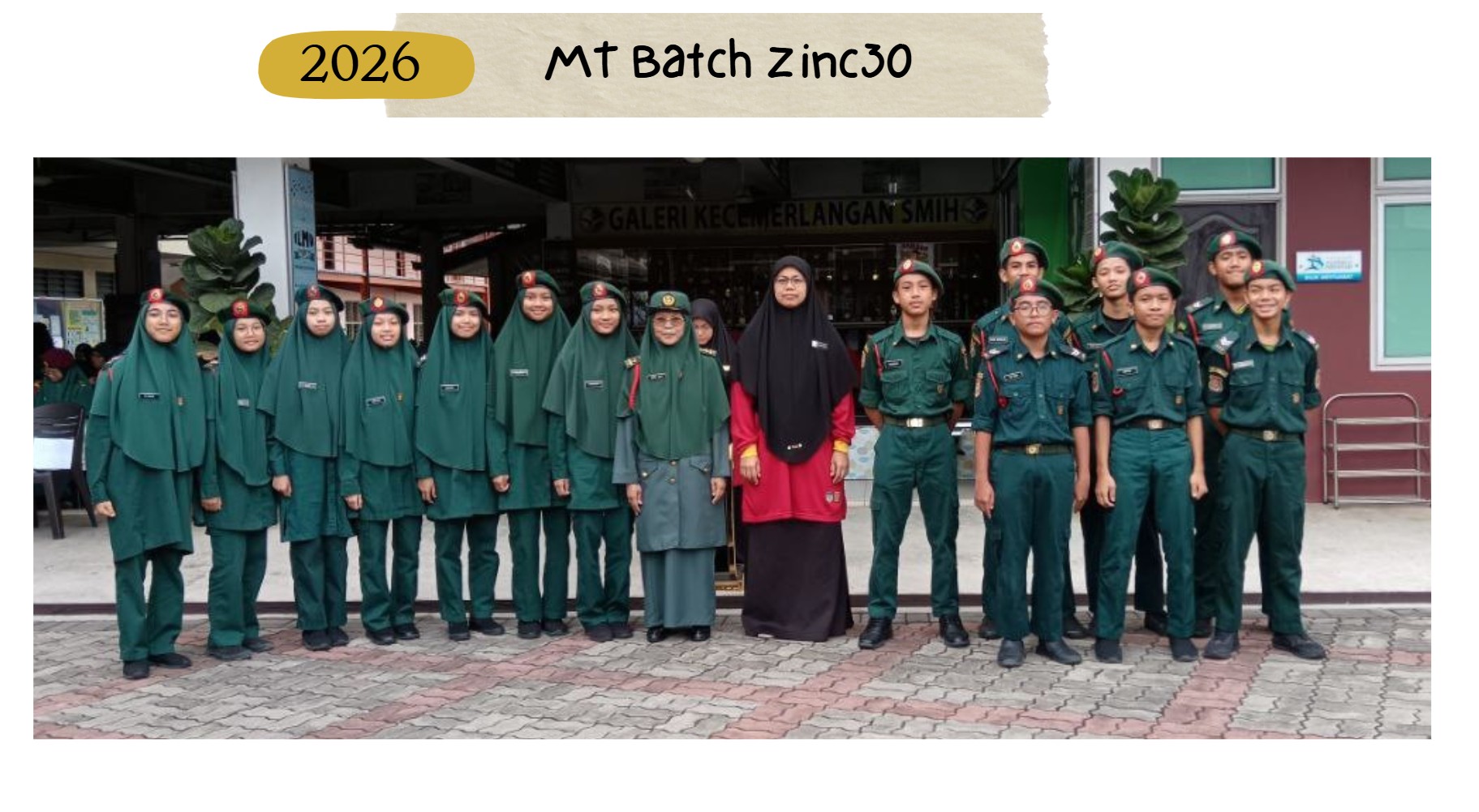 mt batch zinc30